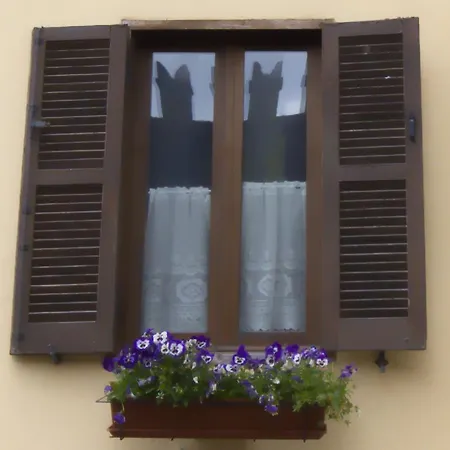 Delle Ginestre